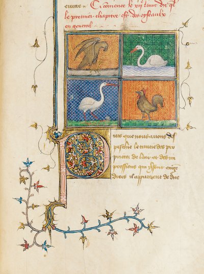 Page from "De Proprietatibus Rerum" by Bartholomeus Anglicus, in the French Translation of Jean Corbechon by Pierre Remiet