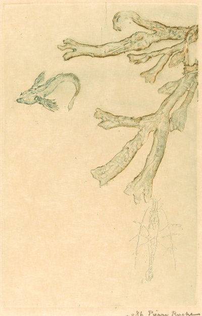 Marine Algae by Pierre Roche