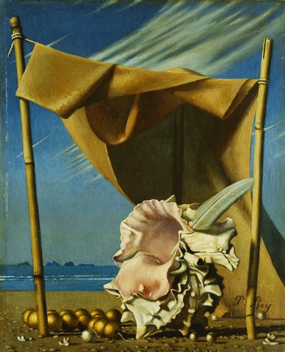 Shell and Drape by Pierre Roy