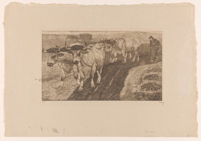 Four plowing oxen by Pieter Dupont (signed by artist)