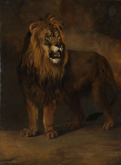 A Lion from the Menagerie of King Louis Napoleon by Pieter Gerardus van Os