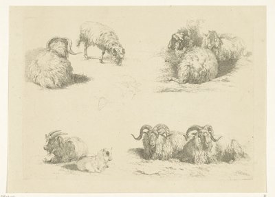 Four Scenes with Sheep and Goats by Pieter Gerardus van Os