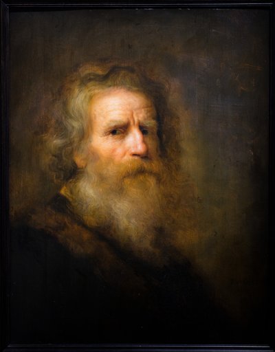 Head of an old man by Pieter Harmansz Verelst