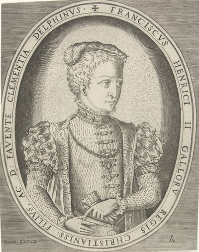 Portrait of Francis II of France, 1544-1560 by Pieter Heyden van der