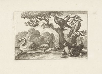 Hen with Chicks and Other Birds by Pieter Schenk (I) (attributed to)