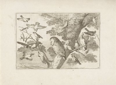 Owl and Other Birds in a Tree by Pieter Schenk (I) (attributed to)