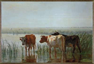 Cows reflected in water by Pieter Stortenbeker