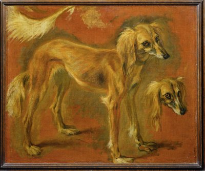 A Greyhound by Pieter or Peter Boel