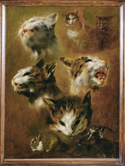 Head of a cat, a rabbit, a goat by Pieter or Peter Boel