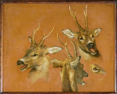 Head studies of a roebuck by Pieter or Peter Boel