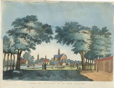 View of Haarlem from Overveen by Pieter van der Meulen