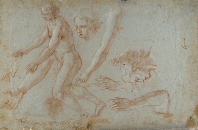 Drawing by Pietro Aquila