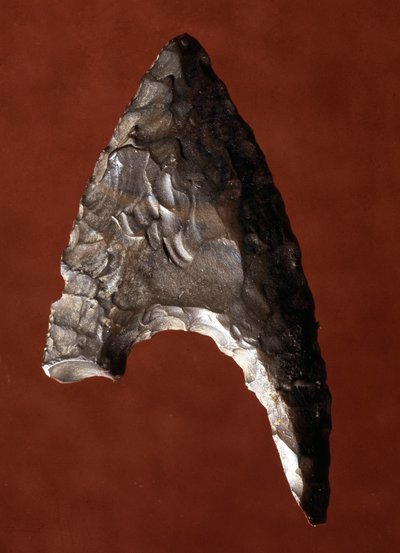 Egyptian Antiquity: Tip of Arrow from the Site of Fayoum in Egypt by Prehistoric Prehistoric