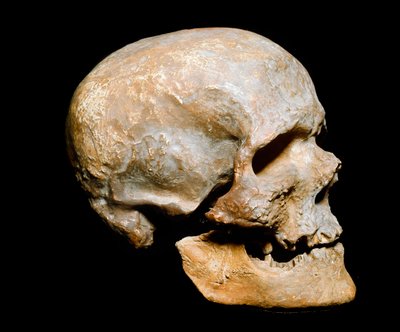 Cro-Magnon Man