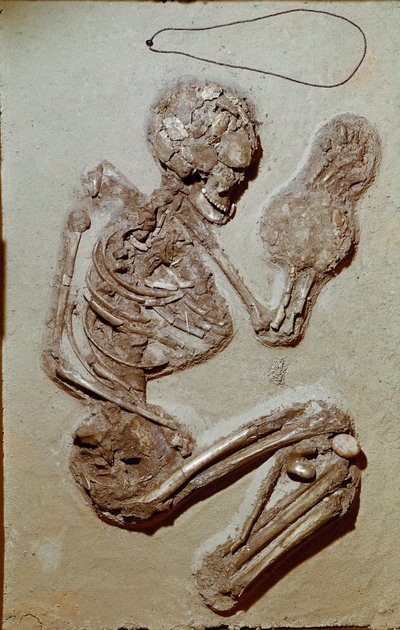 Prehistory: Female Skeleton from the Upper Neolithic by Prehistoric Prehistoric