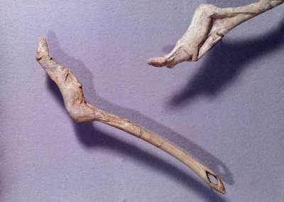 Prehistory: two thrusters said to the jumping horse by Prehistoric Prehistoric