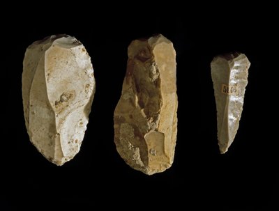 Prehistory: Various Flint Tools from Umbria by Prehistoric Prehistoric