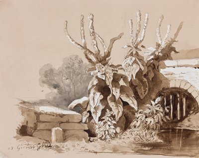 Study of Plants by a Ditch, with Additions by an Instructor by Prince Gaetano Maria Federico di Borbone