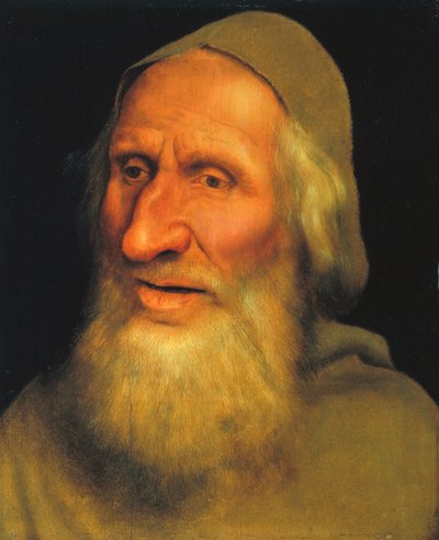 Head of an Old Man, c.1525 by Quentin Massys or Metsys