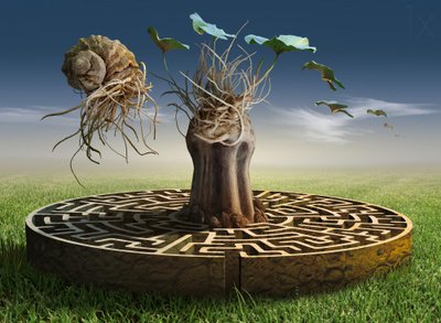 Dreamscape Labyrinth by Radoslav Penchev