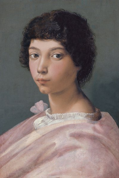 Portrait of a Young Man by Raffaello Sanzio Raphael