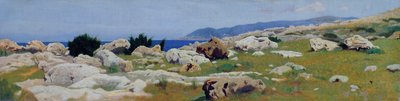 Castiglioncello from Punta del Bocca by Raffaello Sernesi