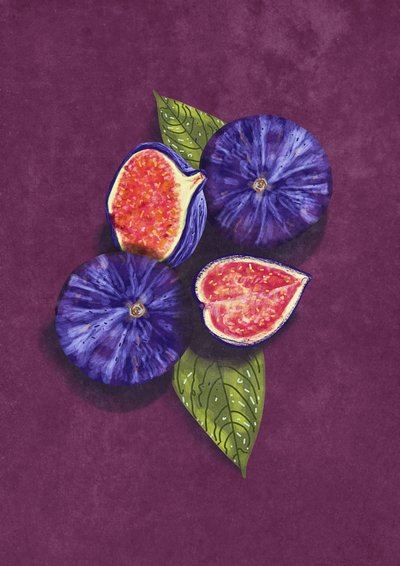Figs Still Life by Raissa Oltmanns
