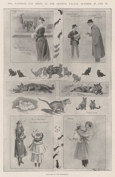The National Cat Show at the Crystal Palace, 29 and 30 October by Ralph Cleaver