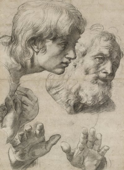 Studies of the Heads of Two Apostles and of Their Hands by Raphael