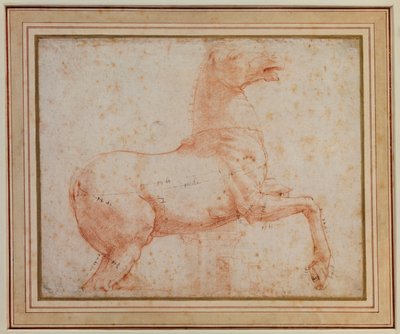 Study of one of the Quirinal Marble Horses by Raphael