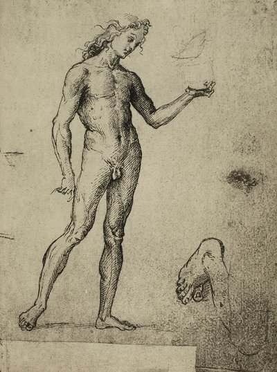 Male Nude Study by Raffaello Sanzio Raphael