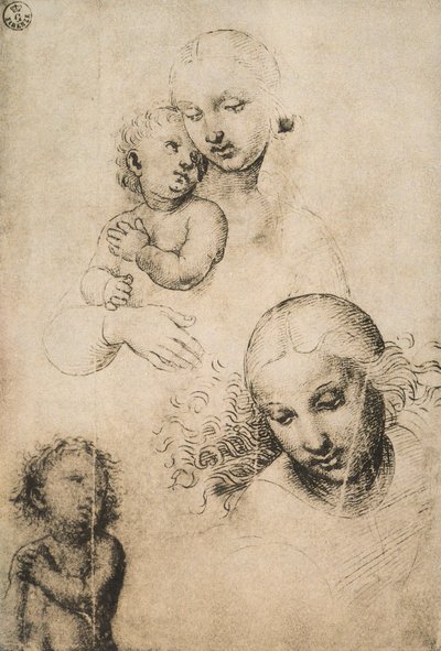 Study for a Madonna and Child by Raffaello Sanzio Raphael