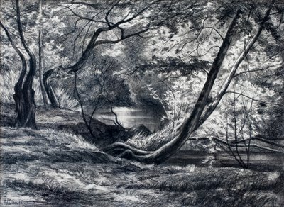 Undergrowth with River by Raymond Bonnefon