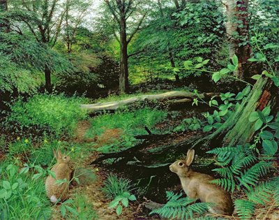 In the Woods - A Midsummer Evening by Raymond Booth