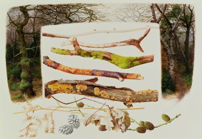 Items from the Winter Woodland, 2000 by Raymond Booth