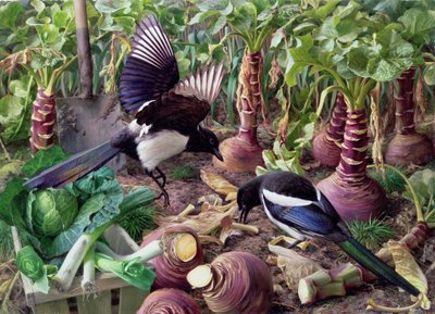 Magpies in the Vegetable Garden by Raymond Booth