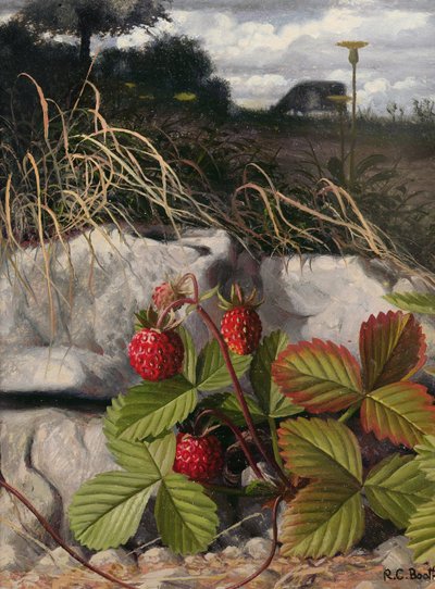 Strawberries by Raymond Booth