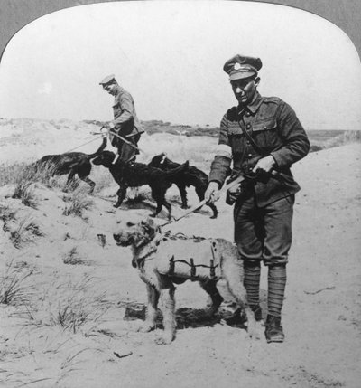 First Aid Dogs, World War I by Realistic Travels Publishers