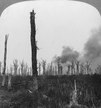 High Explosive Shells Bursting in Mametz Wood, France, World War I, 1916 by Realistic Travels Publishers