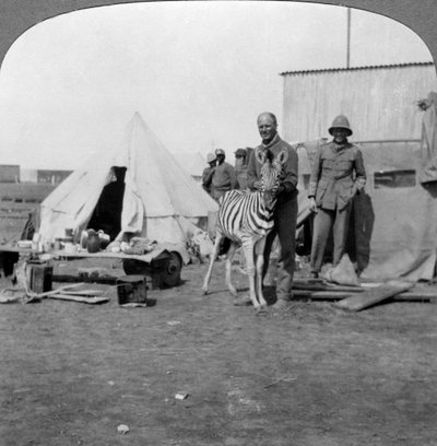 South African Gunners with Their Pet Zebra, East Africa, World War I by Realistic Travels Publishers