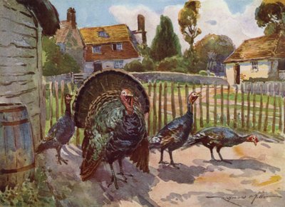 Illustration for My Farm by Reginald Mills