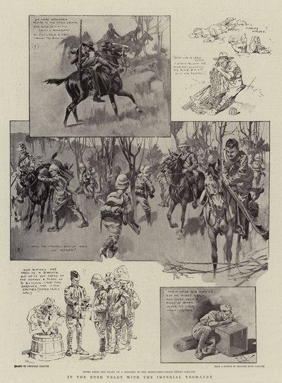 In the Bush Veldt with the Imperial Yeomanry by Reginald Thomas Cleaver
