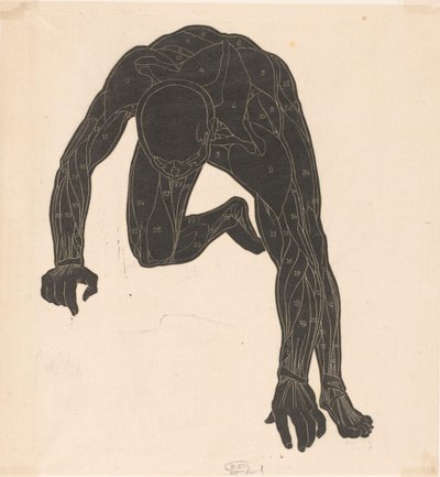 Anatomical Study of the Neck, Arm, and Leg Muscles of a Man in Silhouette by Reijer Stolk
