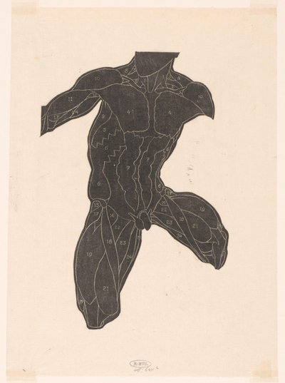 Anatomical Study of the Neck, Abdomen, and Thigh Muscles of a Man in Silhouette by Reijer Stolk