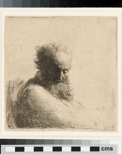 Bust of an Old Bearded Man, Looking Down, Three Quarters Right by Rembrandt Harmensz. van Rijn