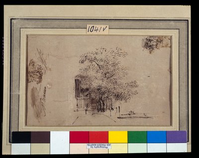 Study of a Tree in Front of a House by Rembrandt Harmensz. van Rijn