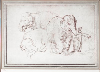 Three Elephants by Rembrandt Harmensz. van Rijn