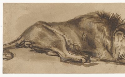 Study of a Lion Asleep by Rembrandt van Rijn (copy after)