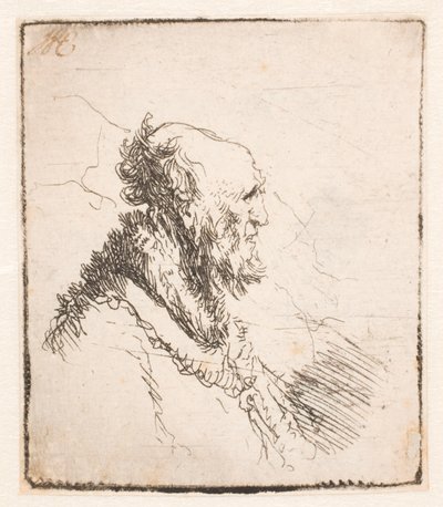 Bald Old Man with a Short Beard, in Profile Right by Rembrandt van Rijn