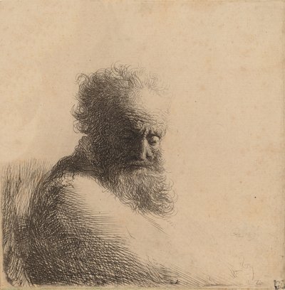 Bust of an Old Bearded Man, Looking Down, Three Quarters Right by Rembrandt van Rijn